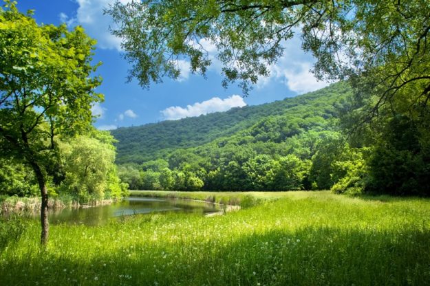 summer landscape with river and blue sky